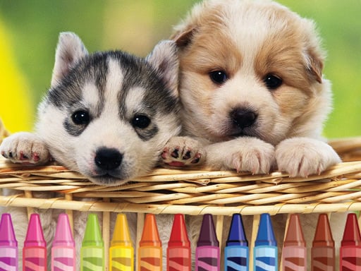 Puppy Coloring Image